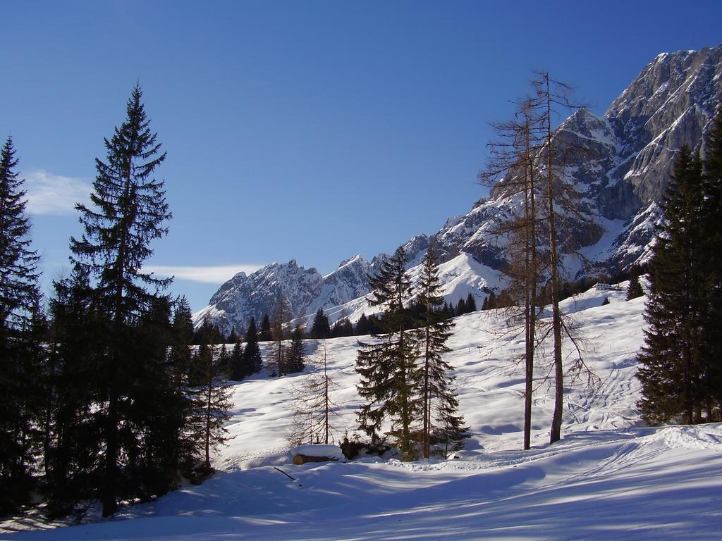 Appartementhaus Hochkönig 1 - Alpenrose Mühlbach am Hochkönig Exterior foto